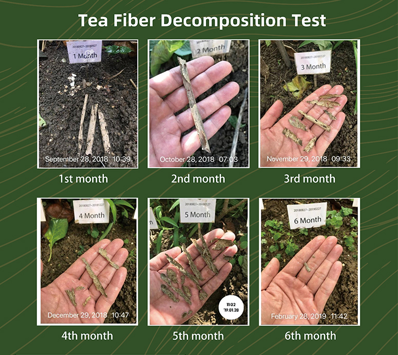Tecnología Buletedan
